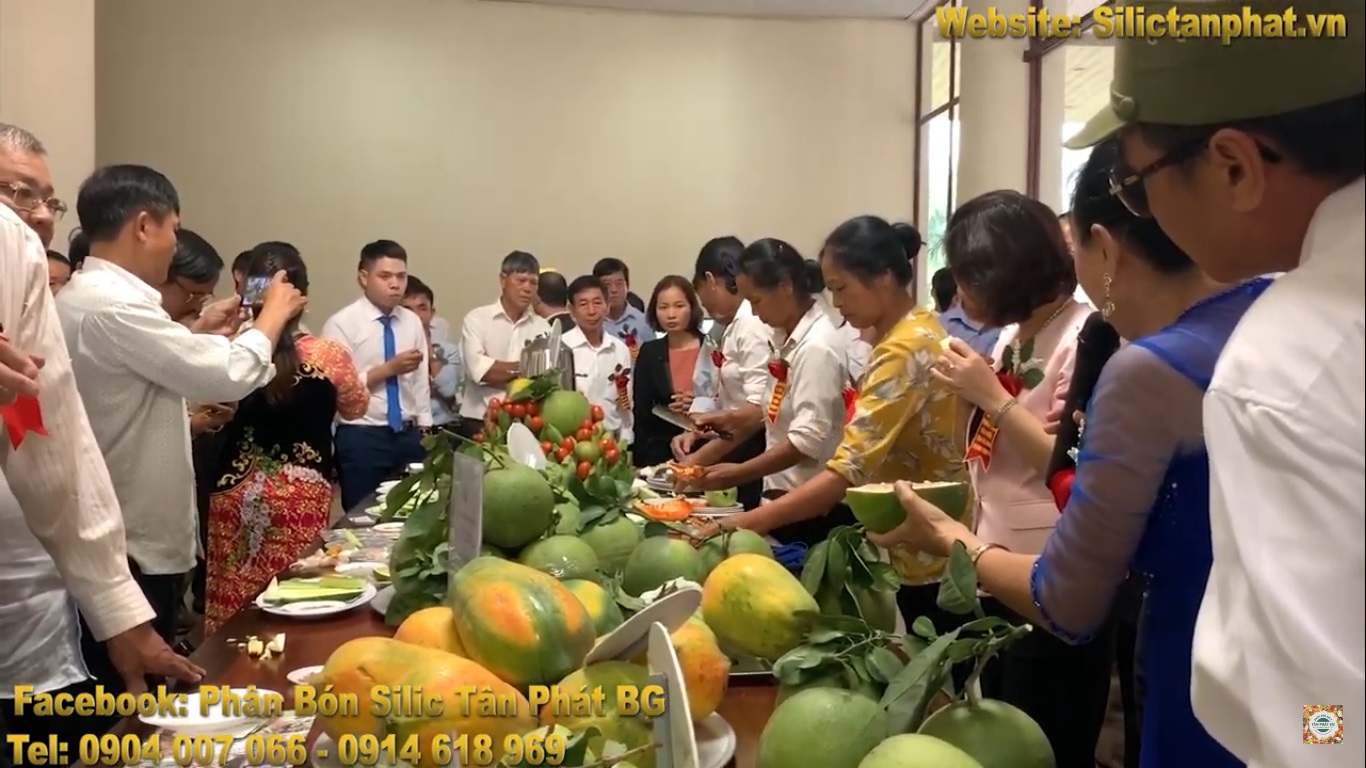 NÔNG SẢN SỬ DỤNG SILIC TÂN PHÁT TẠI HỘI NÔNG NGHIỆP & PHÁT TRIỂN NÔNG THÔN TỈNH BẮC NINH